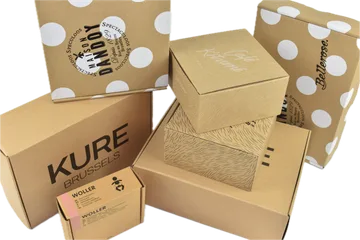 Entrega urgente Cajas en Zwijnaarde Bélgica